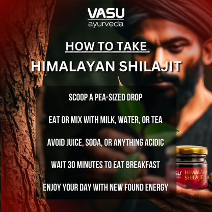 Vasu Ayurveda Shilajit puro del Himalaya 