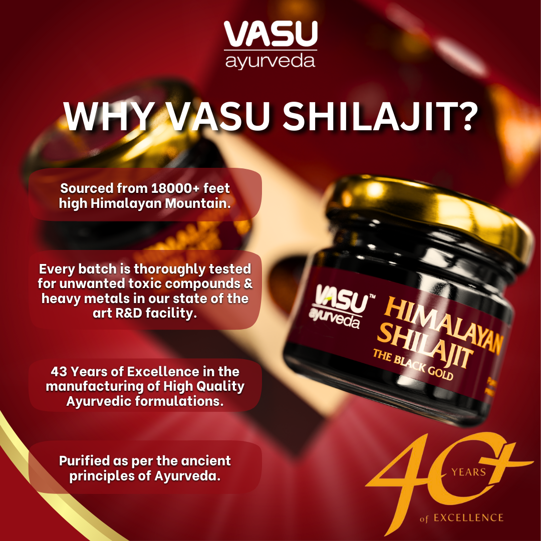 Vasu Ayurveda Pure Himalayan Shilajit