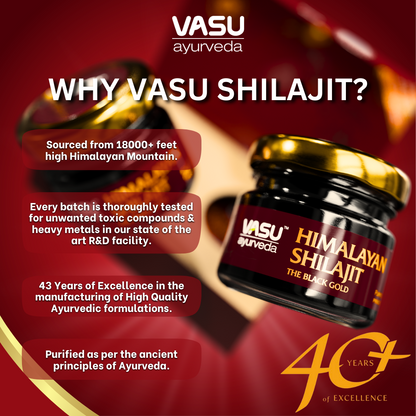 Vasu Ayurveda Shilajit puro del Himalaya 