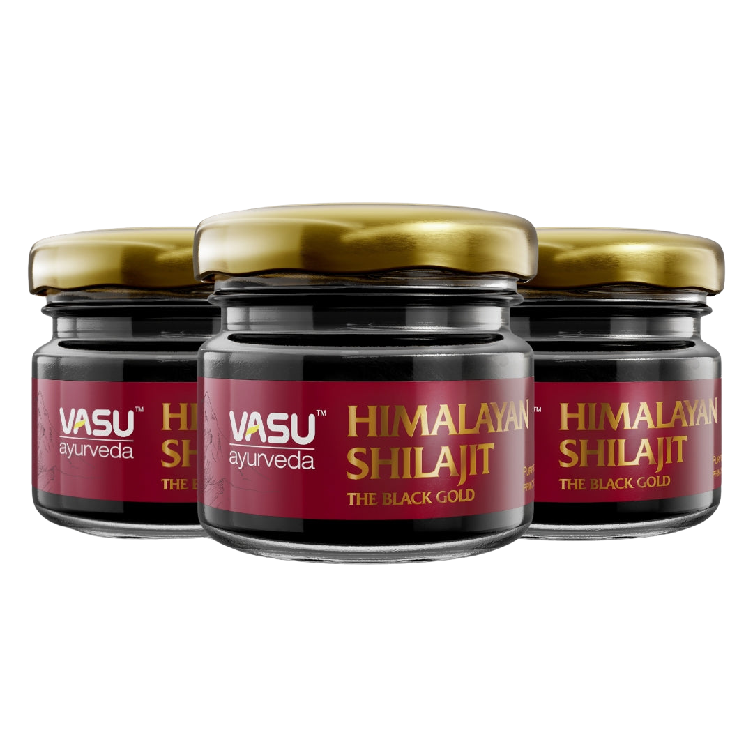 Vasu Ayurveda Himalayan Shilajit