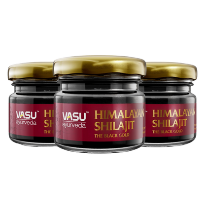 Vasu Ayurveda Himalayan Shilajit