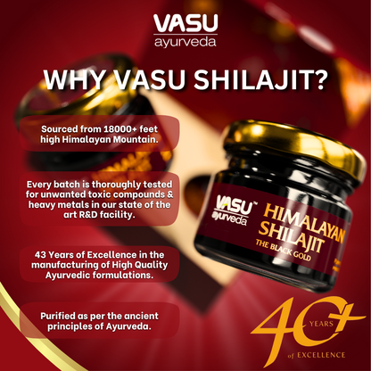 Vasu Ayurveda Shilajit del Himalaya 