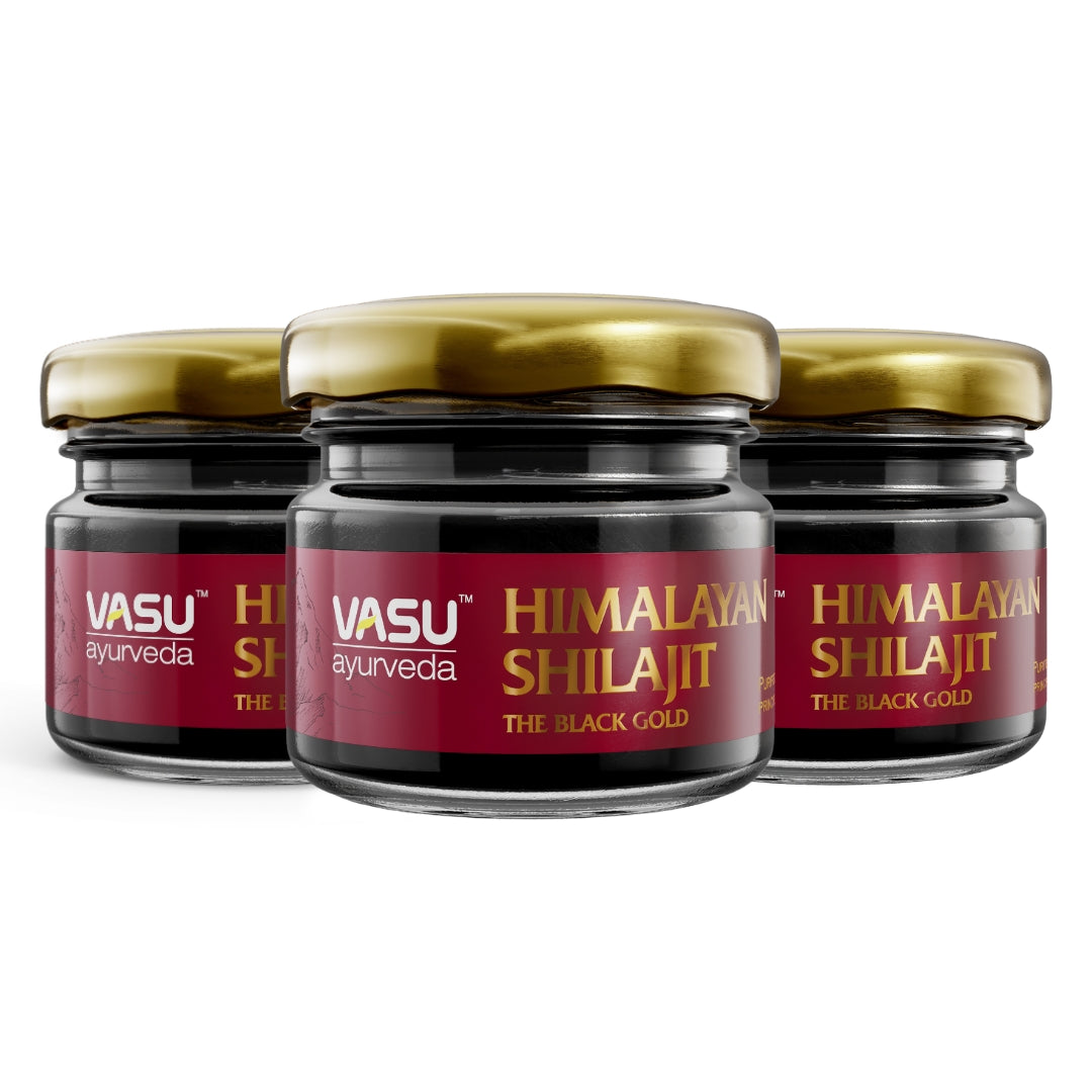 Vasu Ayurveda Shilajit puro del Himalaya 